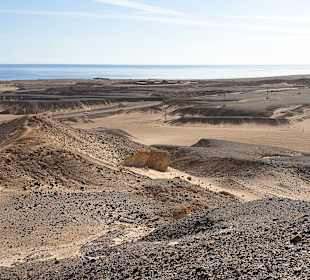 Quad Tour Safaga