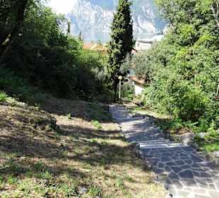 Anstieg aus Torbole zum Belvedere