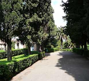 Landschaft an der Via Appia Antica