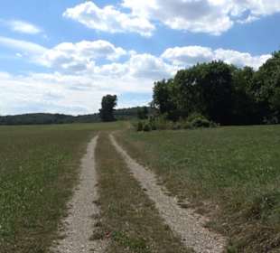 Tour entlang der Traifelbergfelsen