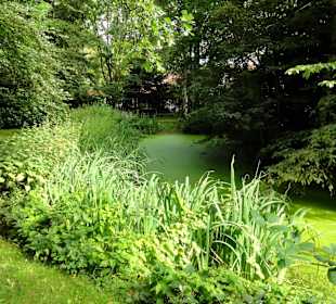 Spaziergang durch Thieles Garten