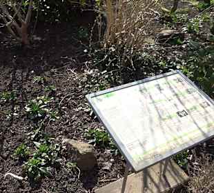 Apothekergarten Ettlingen