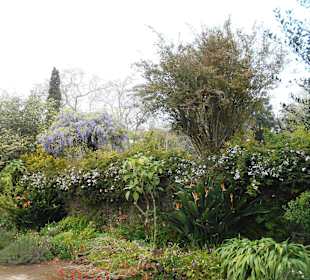 Palheiro Gardens