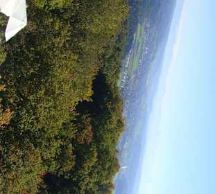 Вид из ресторана Sälischlössli