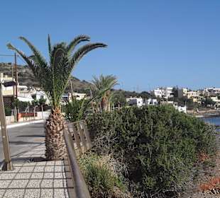 Weg zum Strand