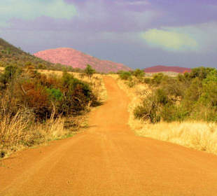 Pilanesberg NP