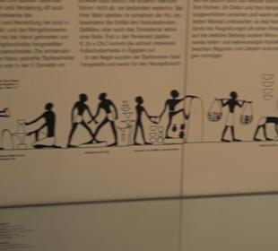 Museum Alte Kulturen