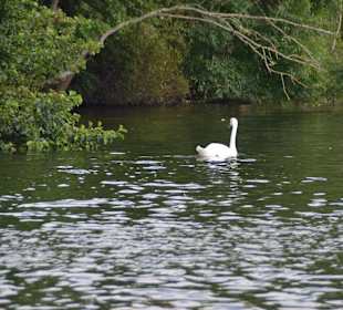 Bootstour Fünf Seenfahrt Plön
