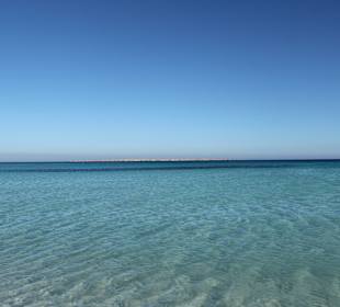 Schnorchel Boot´s Ausflug zu den Korallen