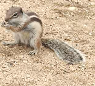 Strand Playa del Castillo