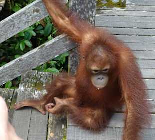 Hallo? wer bist du denn?