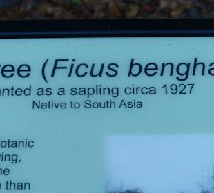 Schön angelegt und informativ