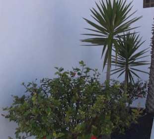 Parroquia San Francisco Javier 