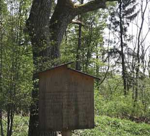 Waldlehrpfad an der Lauter