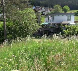 Wanderung Klosterquelle Klosterreichenbach