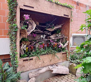 Schmetterlingsgarten