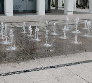 Bei einer Besichtigungstour durch Magdeburg