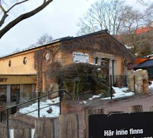 Freilichtmuseum Skansen