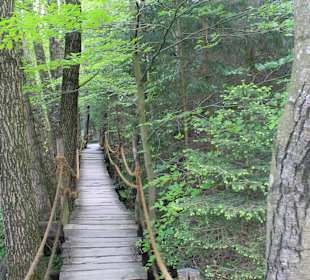 Stellenweise nicht rollstuhlgeeignet