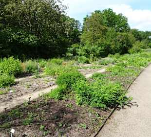 Spaziergang durch den Botanischen Garten Bremen