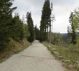 Berg Schneekoppe/Śnieżka