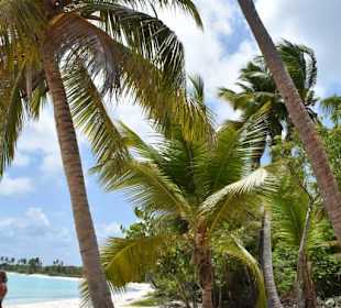 Einsamer Strand auf Saona 