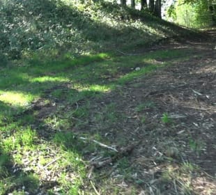 Elsachstadt Tor A Erkenbrechtsweiler