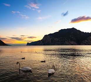 Abendstimmung des Sees