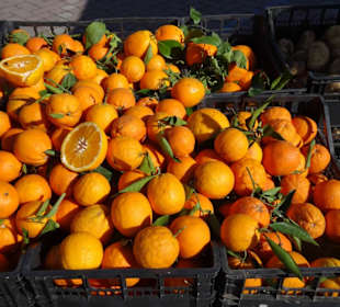 Rundgang über den Wochenmarkt Nuoro