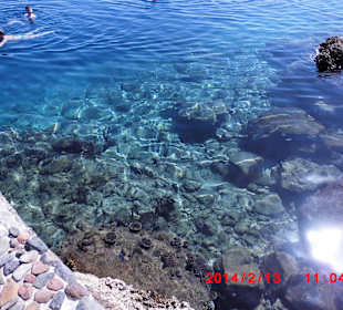 Schnorcheln vom Hausriff-Arabia Azur