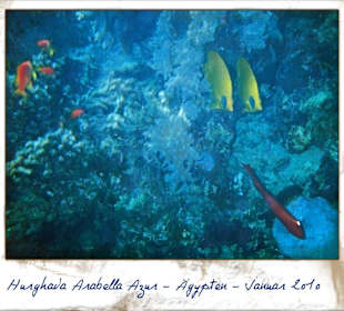 Ich beim Schnorcheln