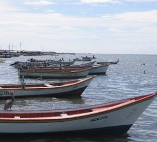 Manzanillo