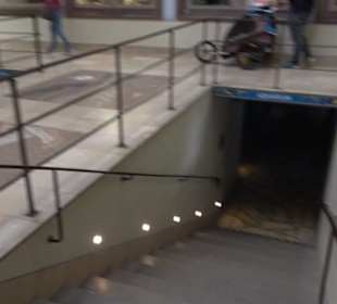 Tierpark Hellabrunn - Fische