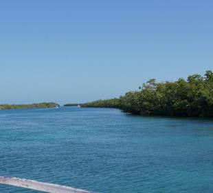 Ein Blick schöner als der andere