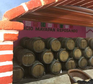 Mayapan Destille