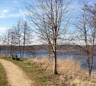 Umgebung am Berzdorfer See.