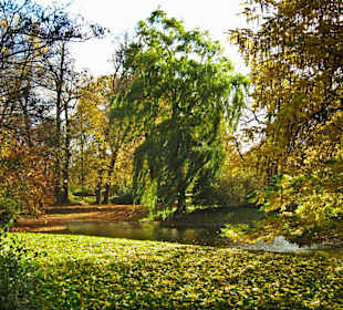 Парк Замка Ойтин.Золотая осень.