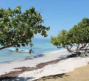 Bacardi Insel - Samána - Dominikanische Republik - DomRep Li