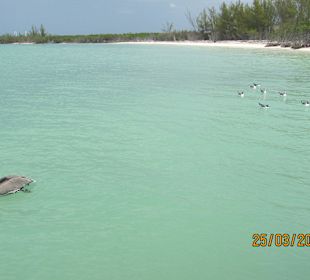 Rückseite Cayo Blanco