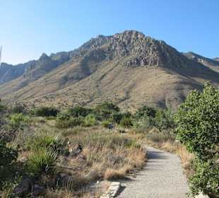 Guadalupe Mountains National Park, Texas