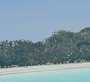 Santi Tour/Playa del Carmen 