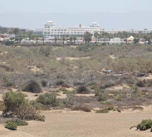 Dünen von Maspalomas