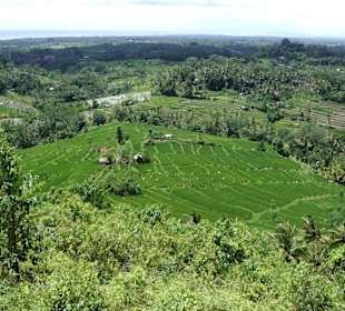 Impressionen aus Bali