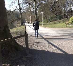 Botanischer Garten - Rombergpark