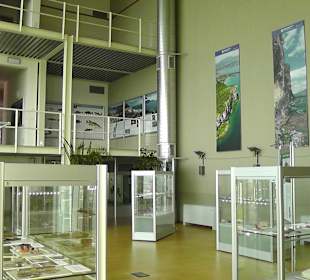 Im Museum des Rocca