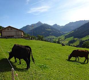 Wandern Alpbach