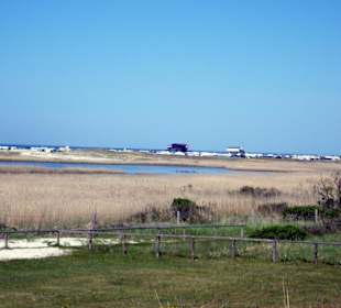 Blick zum Rochelsand