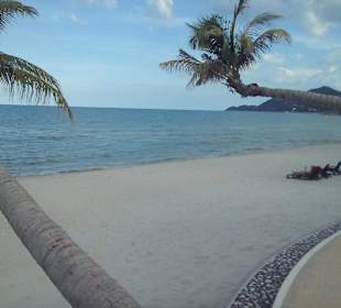 Beach vor the samui beach hotel