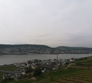 Seilbahn Rüdesheim