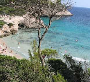 Cala mitjiana